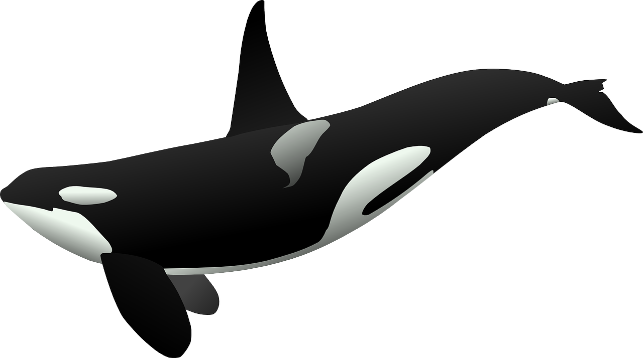 ¿Cuánto peso la orca M20?