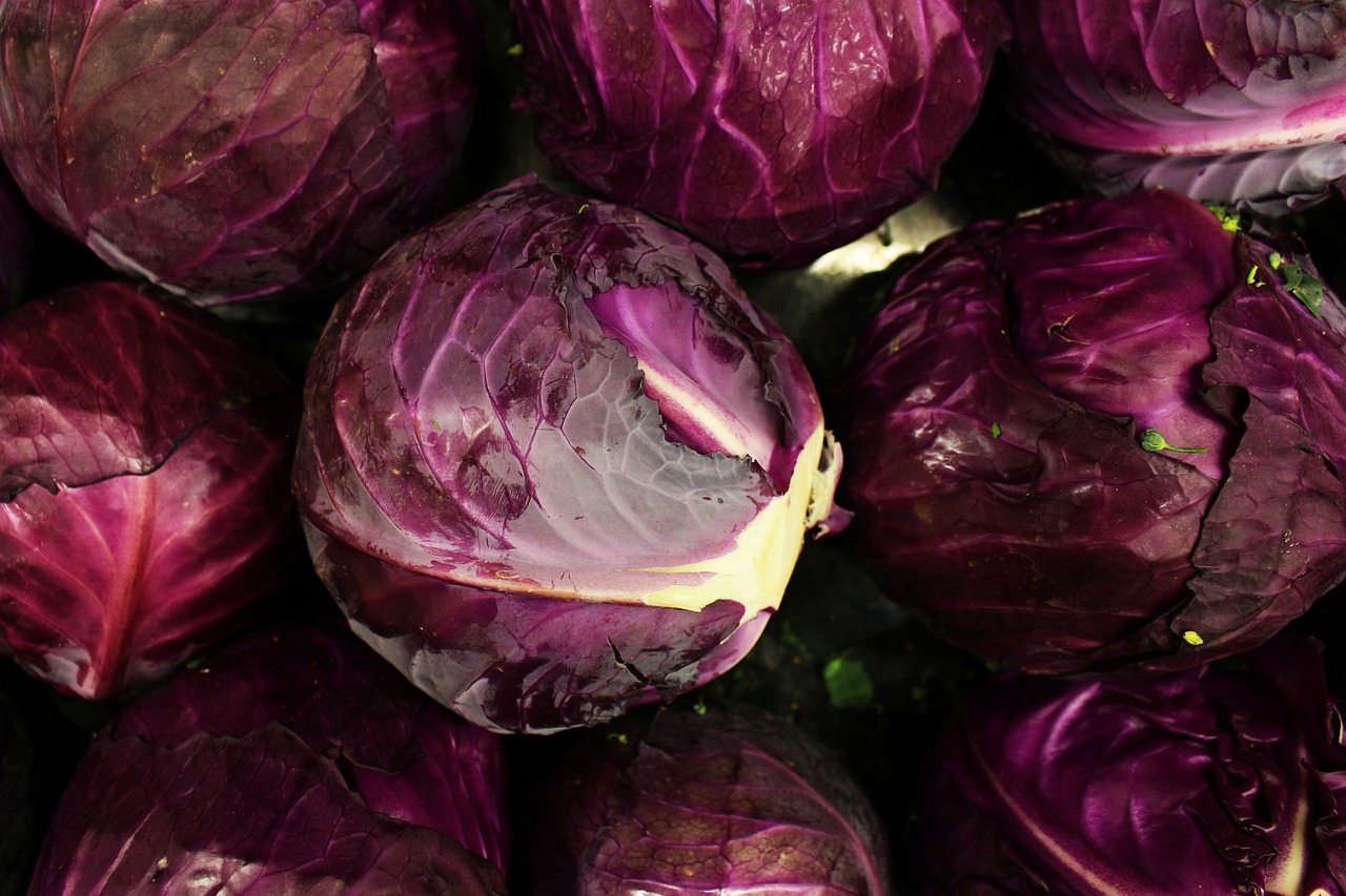 Cualidades y Requisitos para Ser un Nutricionista Deportivo