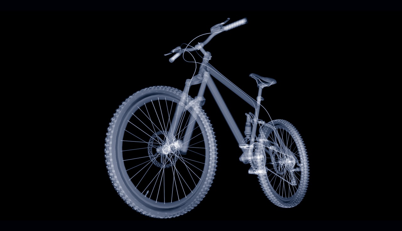 Campeón del Mundo de Mountain Bike: ¿Quién Está en el Trono?