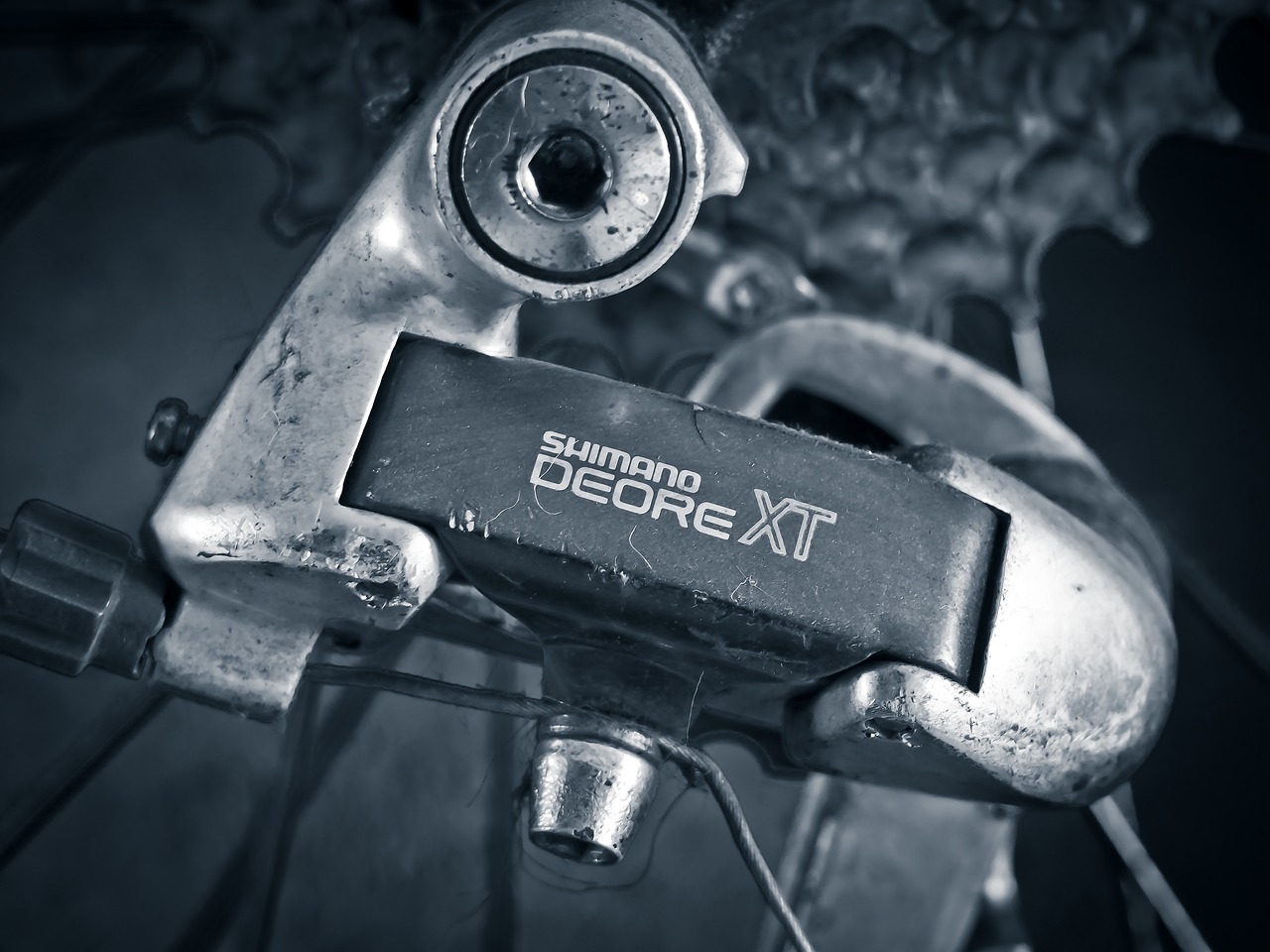 Clasificaci n de los Grupos Shimano SheRides