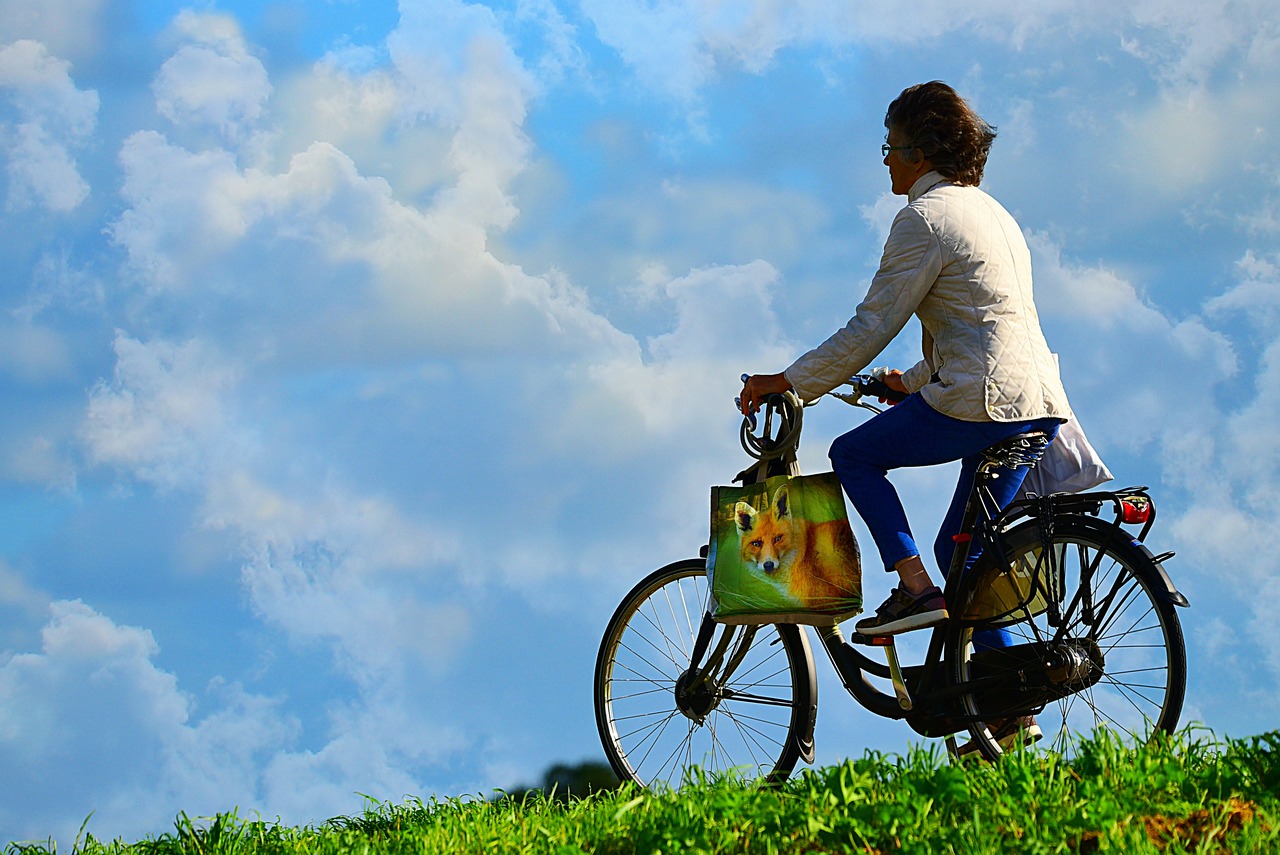 ¿Cuáles son las mejores marcas de bicicletas?”