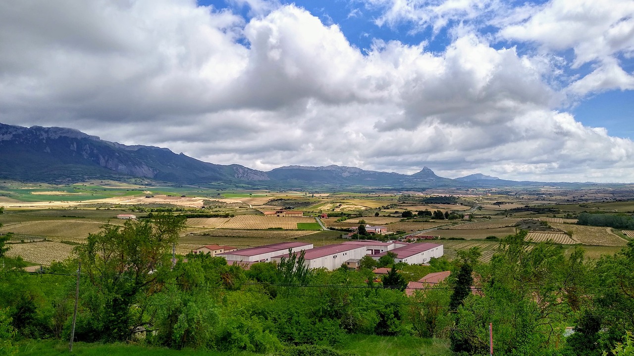 Descubriendo lo mejor de La Rioja: ¡no te lo puedes perder!