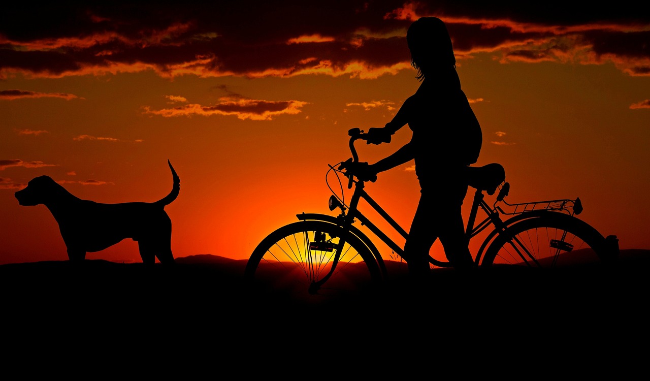 ¿Qué es el eje de una bicicleta?”
