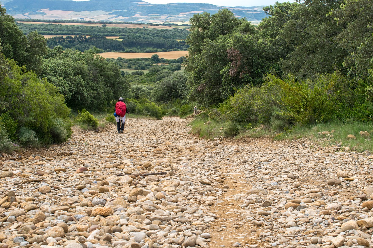 Descubriendo las Etapas del Camino de Santiago Portugués