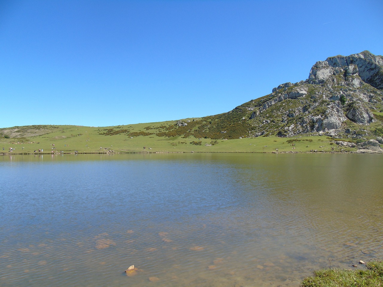Subiendo a los Lagos de Covadonga: ¿Cuánto Se Tarda?