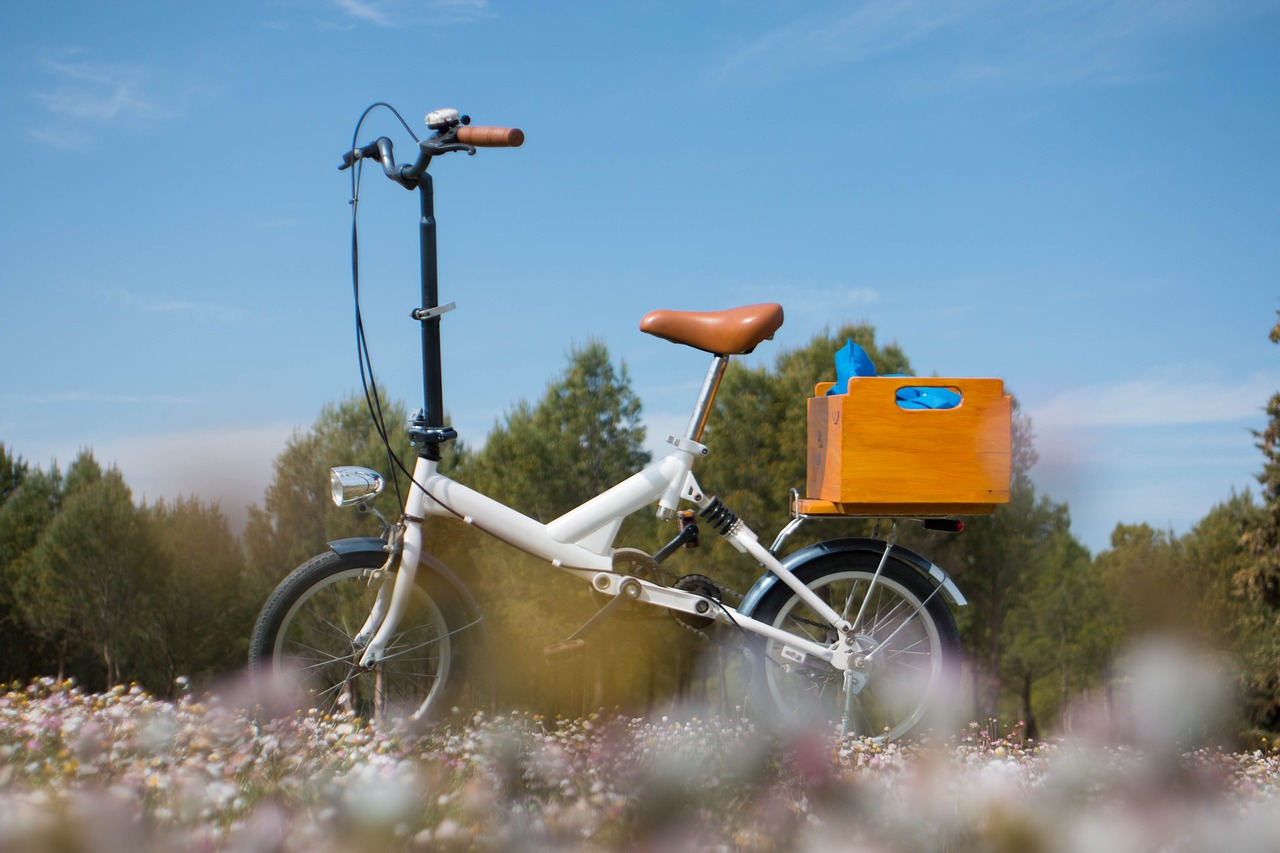 ¿Cuánta Capacidad de Carga Tiene una Bicicleta Plegable?