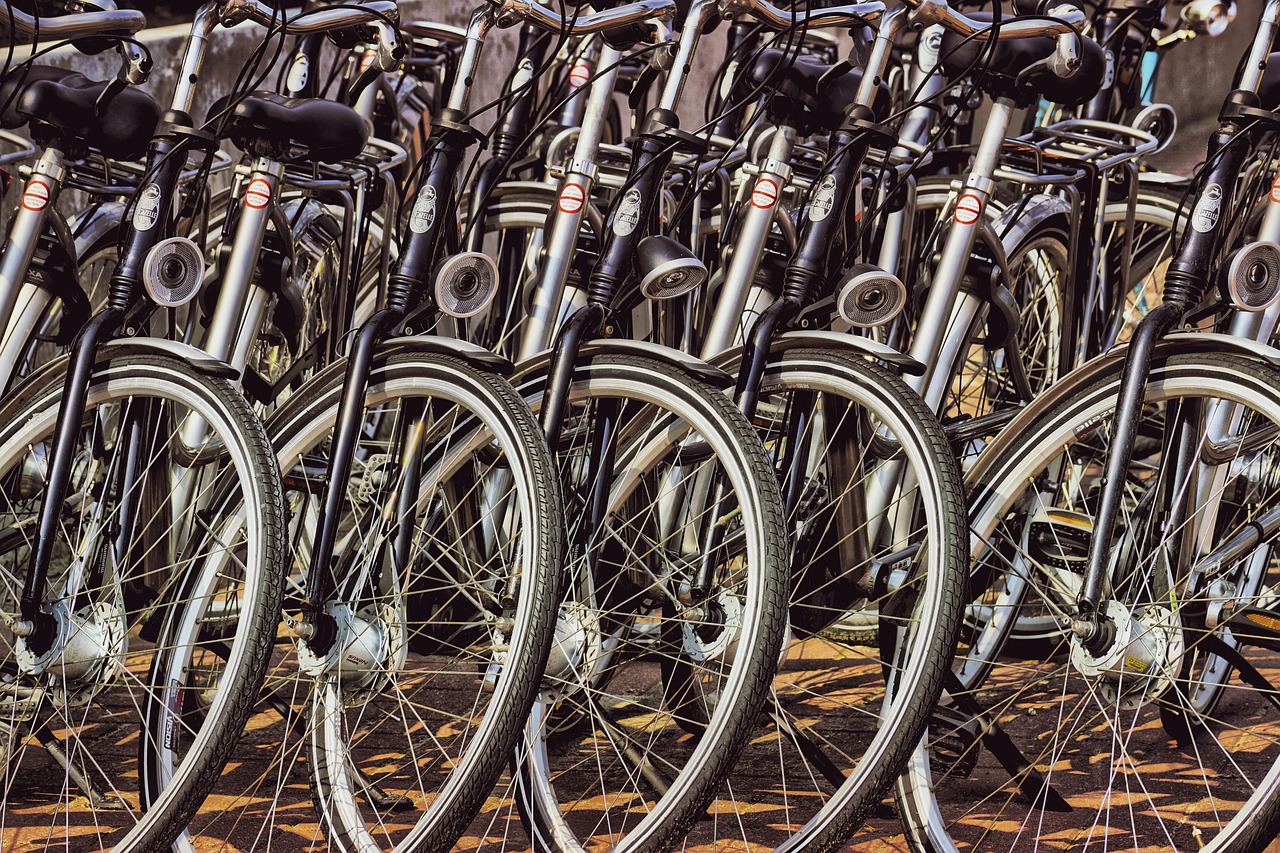 ¿Cuánto tiempo pueden durar las bicicletas eléctricas?