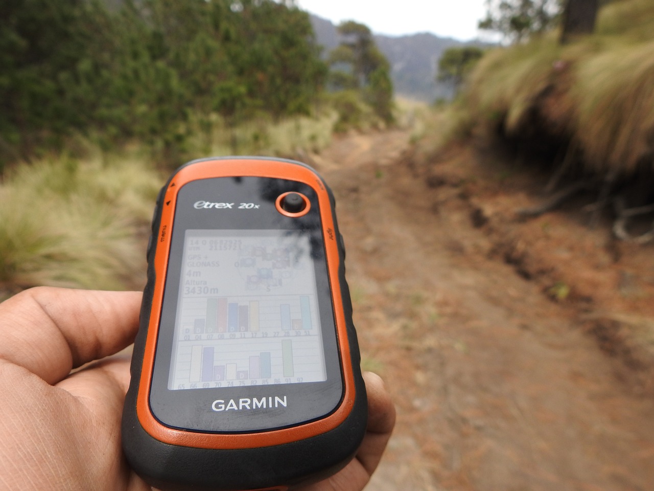 Descargando Mapas en tu Garmin: Una guía paso a paso