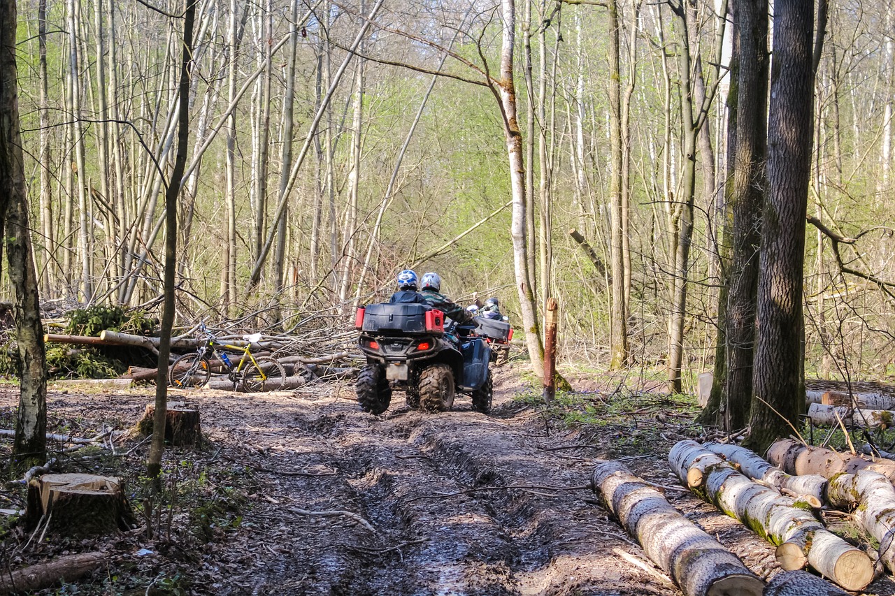 Explorando las Rutas de BTT: ¿Qué son y Cómo Aprovecharlas Al Máximo?