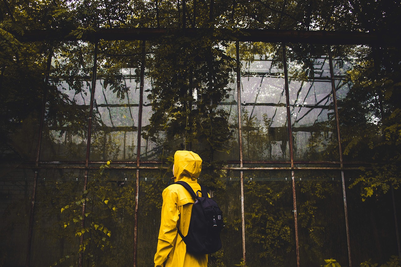 ¿Cómo distinguir entre impermeable y resistente al agua?