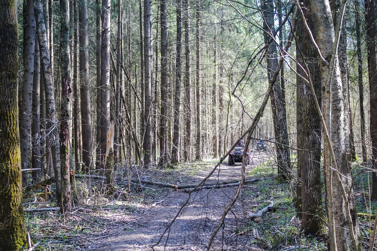 Explorando las Rutas de BTT: ¿Qué Debes Saber?