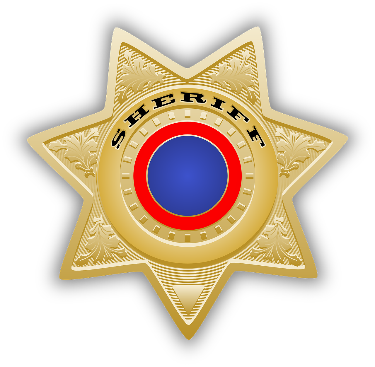 ¿Cómo Funciona El Sistema de Policía?