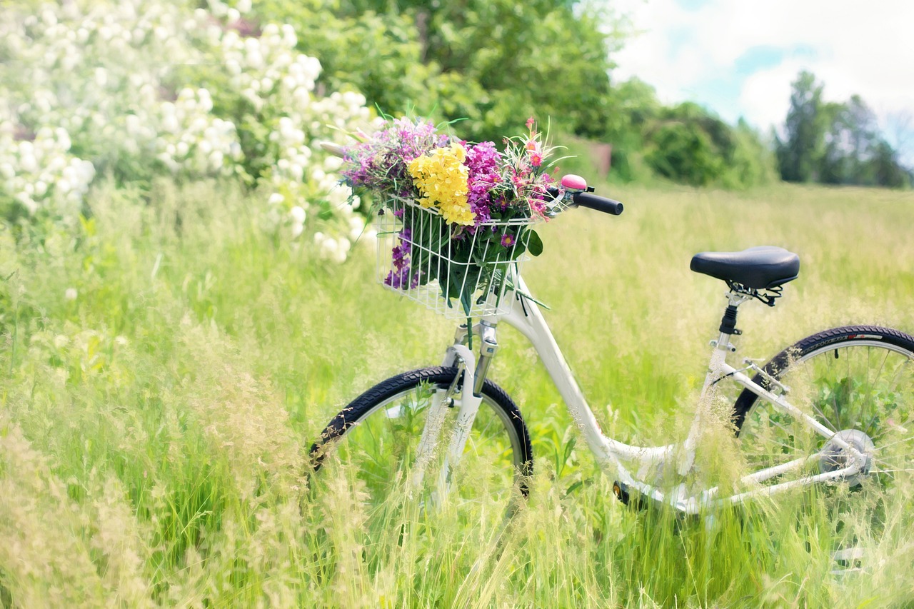 ¡Descubre el precio de las bicicletas Mercedes Benz!