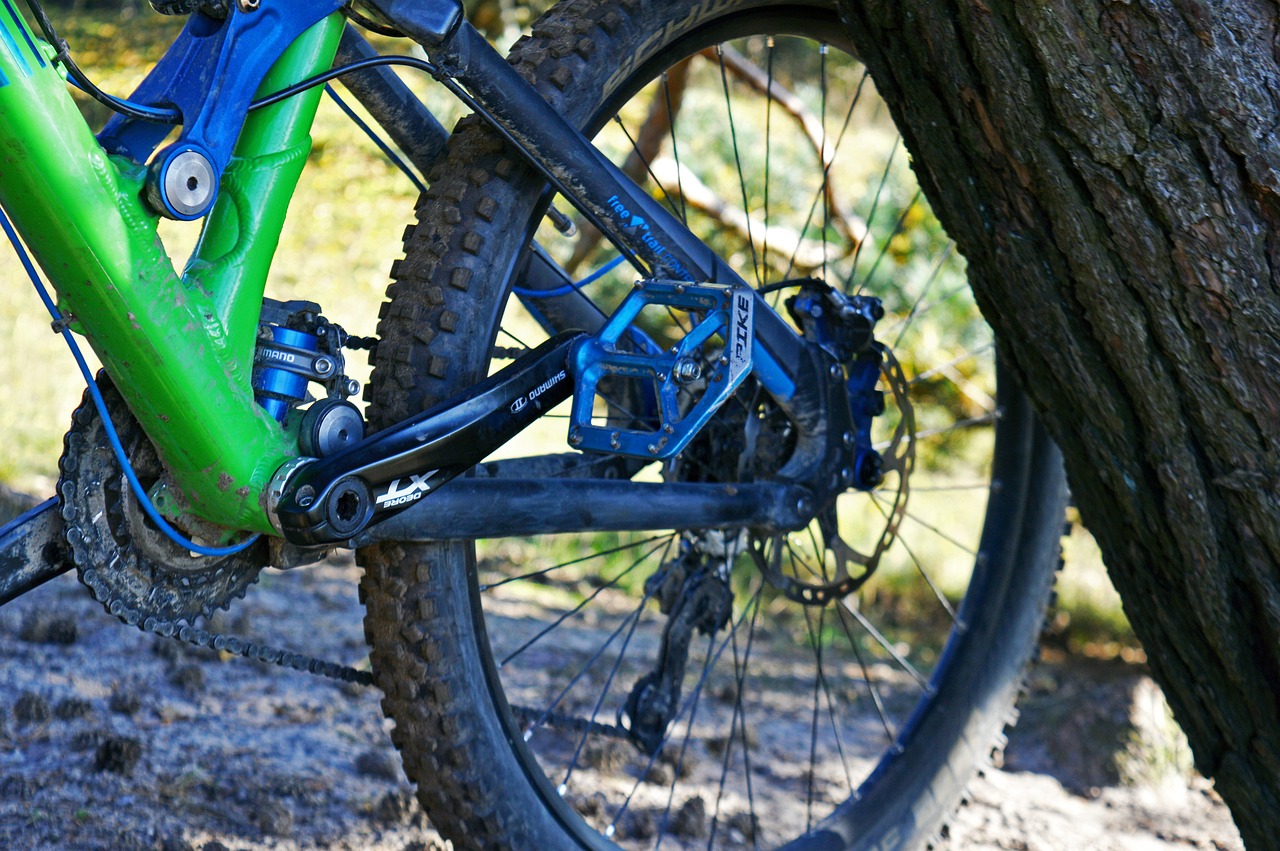Shimano: conoce sus gamas de productos