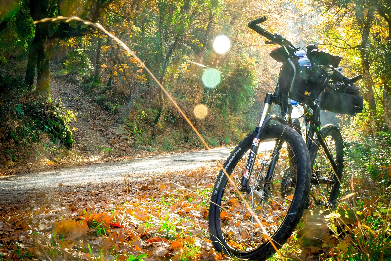 Descubriendo la Marca de Bicicletas Trek: ¿Quién la Fabrica?