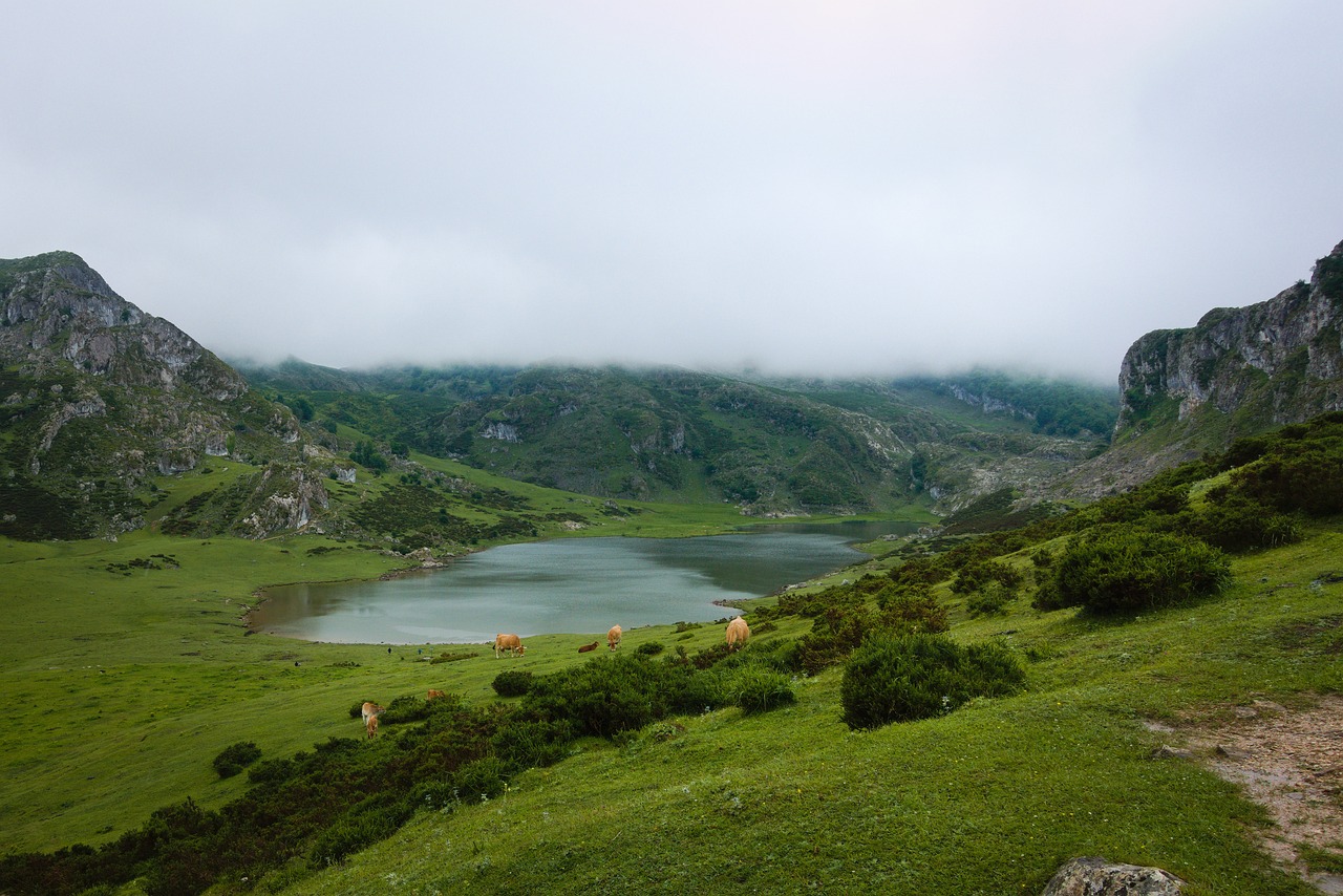 La Subida a los Lagos de Covadonga: ¿Cuántos Kilómetros Tiene?