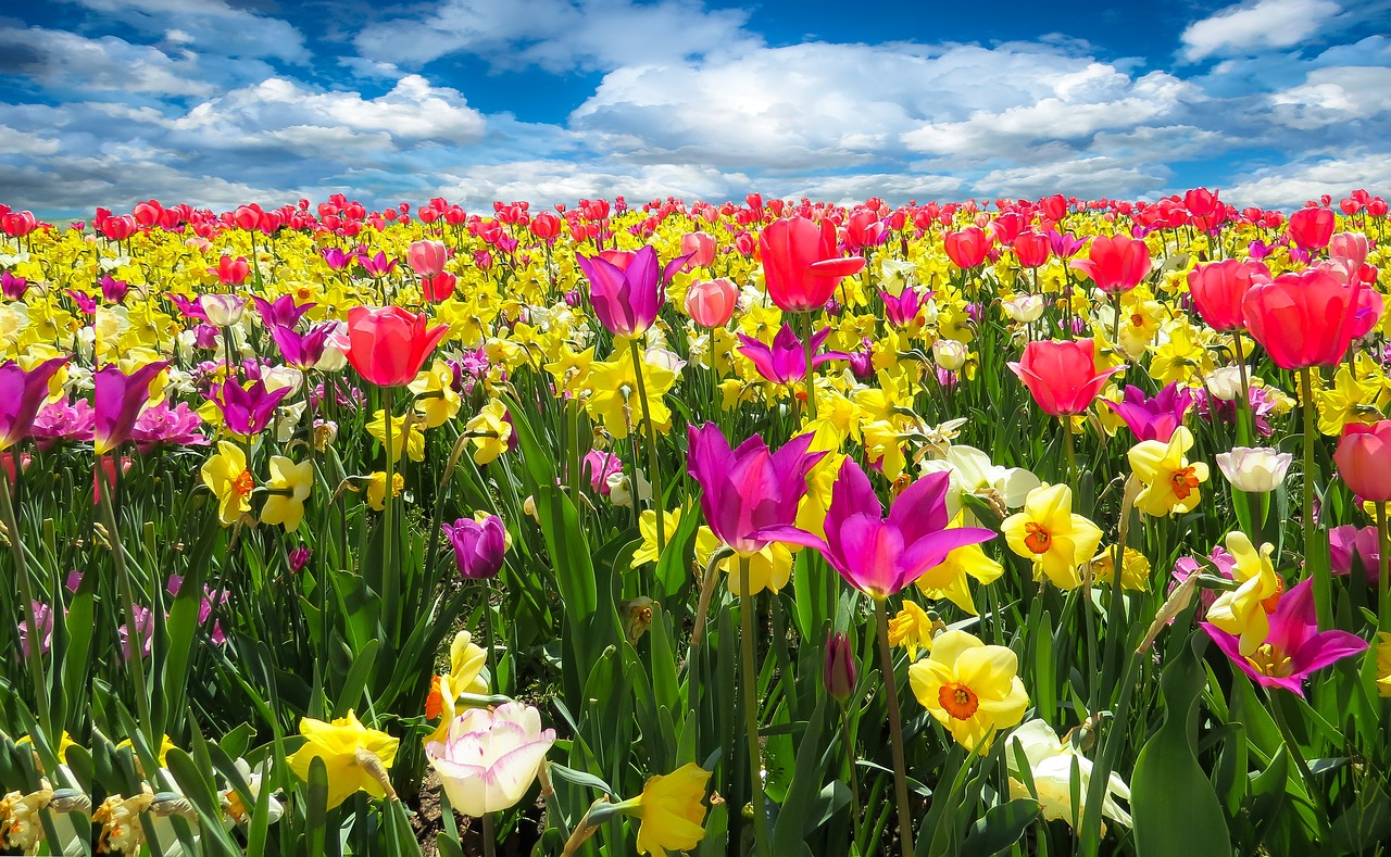 ¿Cuándo comienza la Primavera del 2020?”