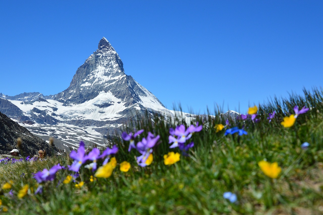 Vuelta a Suiza 2023: Un Análisis